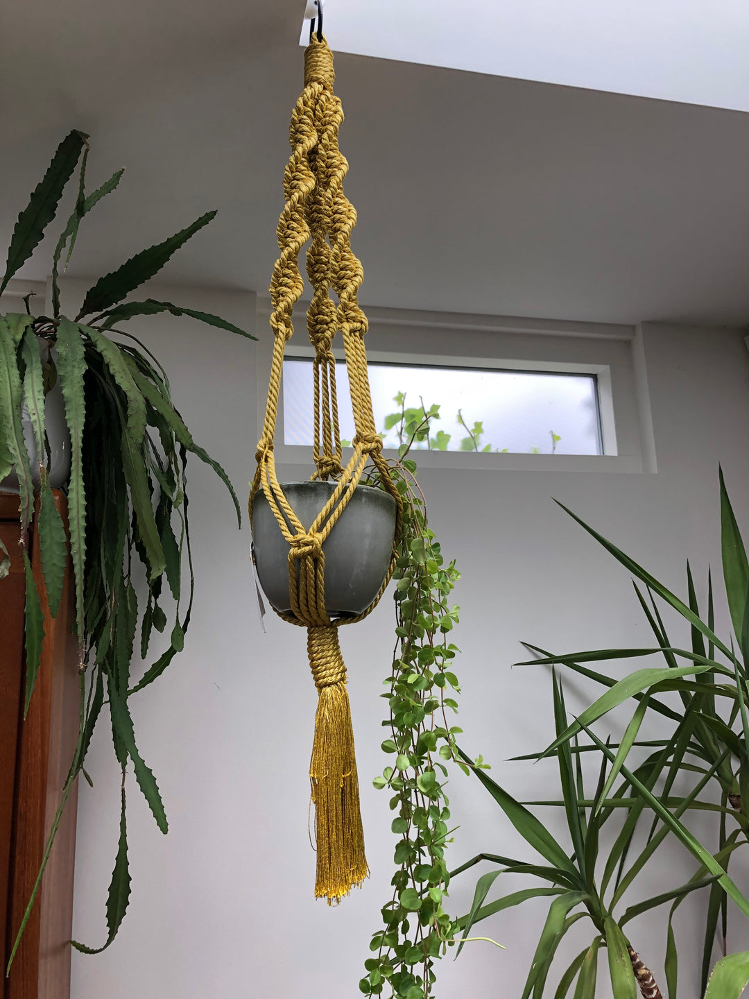 yellow macrame plant hanger Sparkling golden macrame planthanger in two sizes – Peacock & Peony