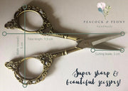 Sharp and beautiful little scissors - Antique model